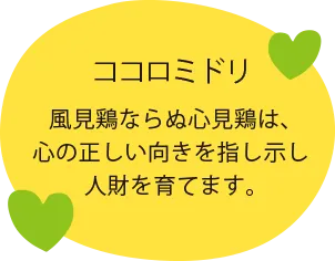 ココロミドリ概要